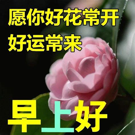 7月14日最新早上好祝福动态表情图片大全，早上好问候语句子！ 人生 许下 都应