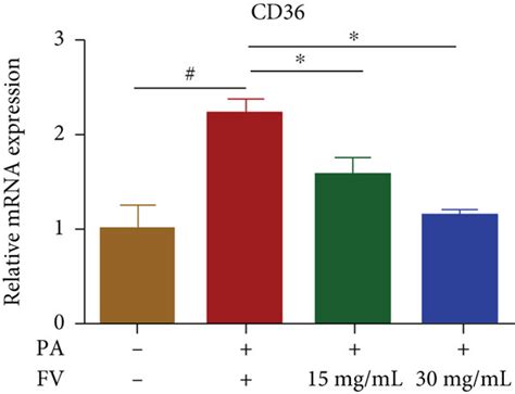 Amelioration Of Lipid Accumulation In Pa Induced Hepg Cells By Fv A