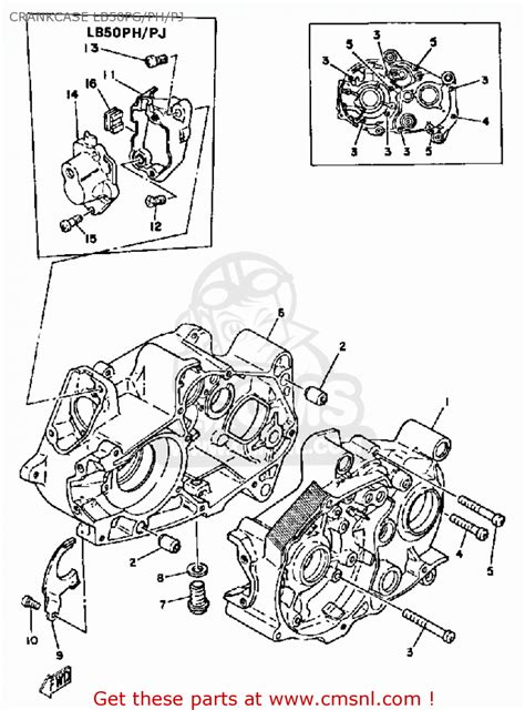 Yamaha Chappy Engine Diagram Free Image Diagram