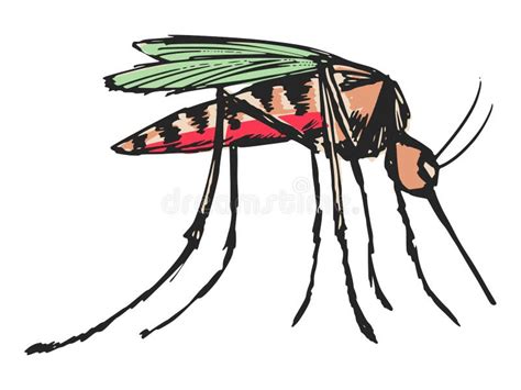 Garatuja Dos Desenhos Animados Do Mosquito Ilustra O Do Vetor