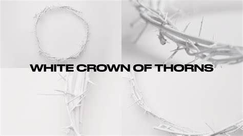 White Crown of Thorns - Motion Packs, Stock Footage