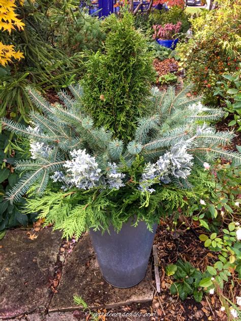 How To Make An Evergreen Winter Planter