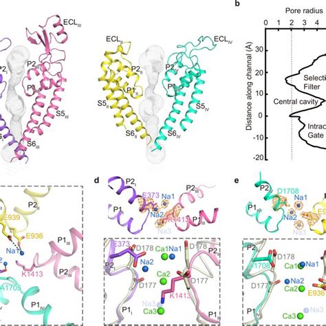 Cryo Em Structure Of The Nav Em Complex A B The Cryo Em