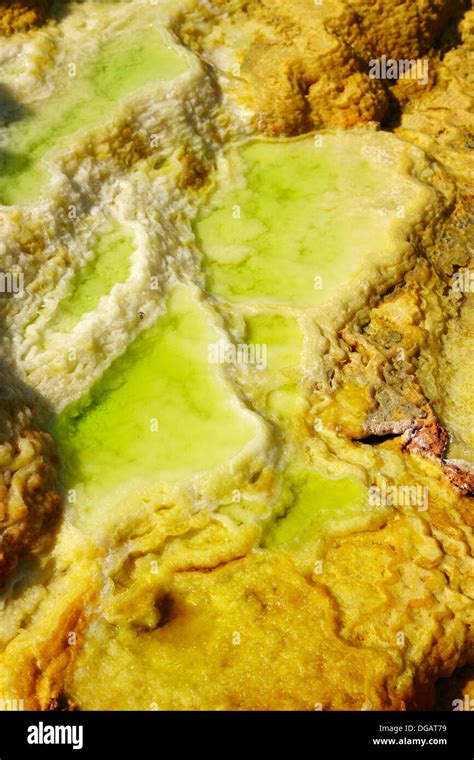 Salt Formations on Saltwater Lake, Dallol, Danakil Desert, Ethiopia, Africa Stock Photo - Alamy