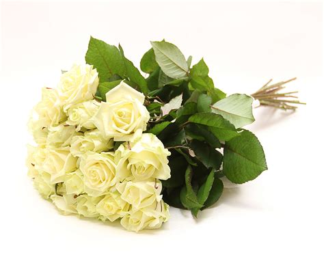 Букеты из роз в интернет-магазине «Цветотека» | Купить розы с доставкой ...