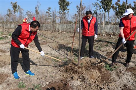 江苏明茂公司志愿者义务植树为港城湿地公园造林江南时报