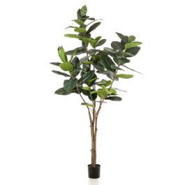 Acheter Des Ficus Elastica Artificiel Feria Tronc Artificiel Vert Cm