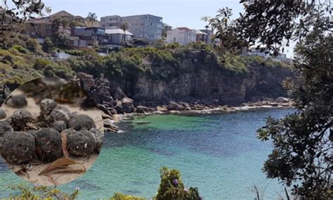 Sídney Reabre Sus Playas Tras Determinar La Sustancia De Bolas De Polución Halladas El