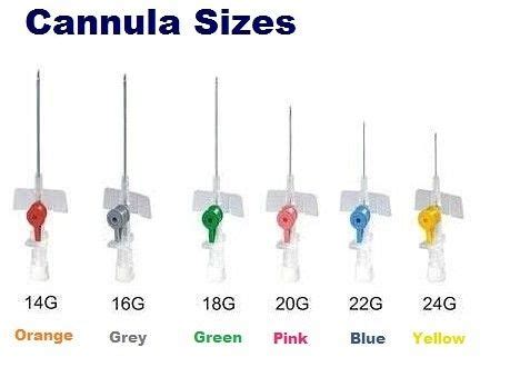 Sizes of IV Cannula and Uses - Cannula Gauge size in 2024 | Nursing school survival, Medical ...