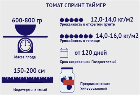 Томат Спринт Таймер. Описание сорта, фото, отзывы