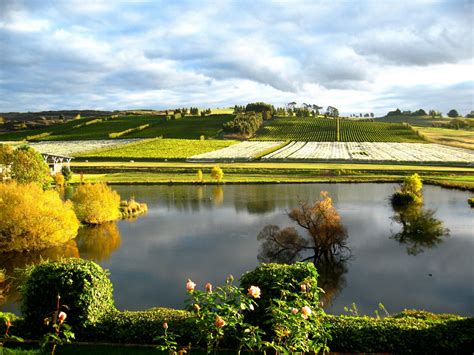 Clare Valley Private Tour Australian Private Tours