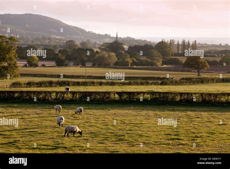 Shropshire landscape countryside hi-res stock photography and images ...