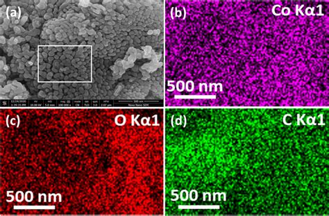 Sem Image And Elemental Mapping Of Pure Co O A Sem Image Of Co O B