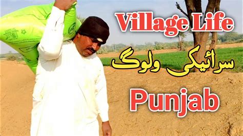 Early Morning In Village Punjab Most Beautifull Village Life In