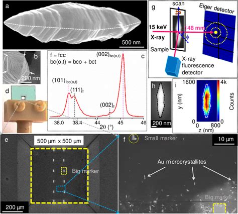 Preparation Of Crystallite For Scanning X Ray Diffraction Microscopy