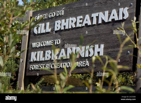 Kilbrannish Forest Recreation Area Co Carlow Ireland Europe Stock