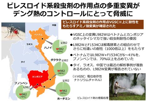 殺虫剤と害虫は「イタチごっこ」の関係｜日本ボレイト ブログ｜安心家づくりの会