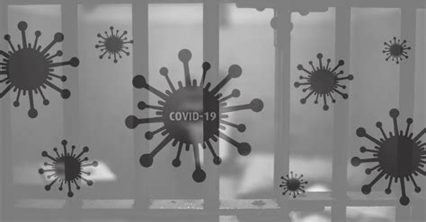 17 Inmates of the Mendocino County Jail Have Tested Positive for COVID-19 - MendoFever ...