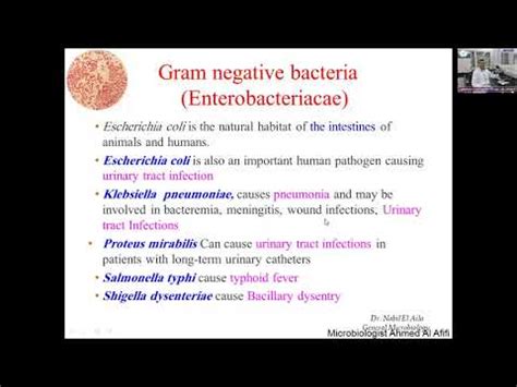 Chapter Classification Of Medically Important Bacteria Part Youtube