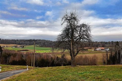 Öhningen Öhninger Gemeinderat diskutiert über mögliche