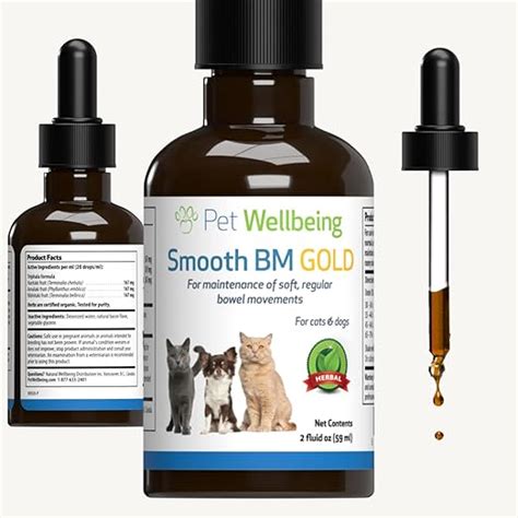 Amazon.com : Pet Wellbeing Smooth BM Gold for Cats - Gentle ...