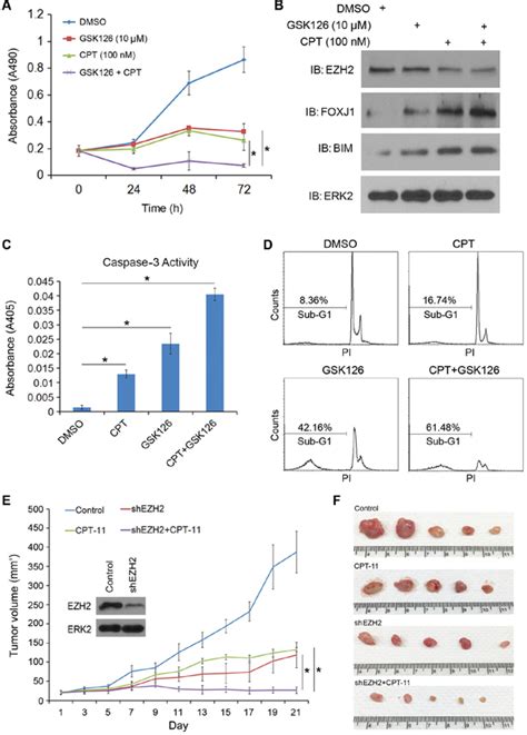 Inhibition Of Ezh2 By Chemo And Radiotherapy Agents And Small Molecule