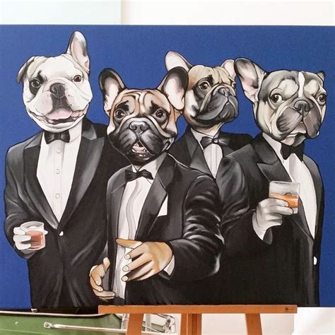 French Bulldog Frenchie Teunen Jeroen Teunen Bulldogge