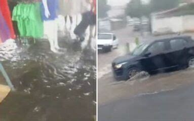 Chuva Derruba Rvore De Metros No Parque Mutirama Alaga Ruas E