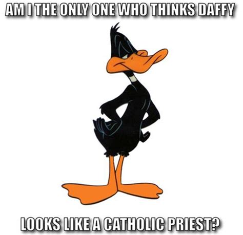 Funny Quotes Daffy Duck Quotesgram