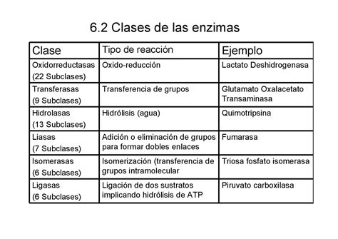 Clasificaci N Enzimas Tema Bioqu Mica I Apuntes De Bioqu Mica