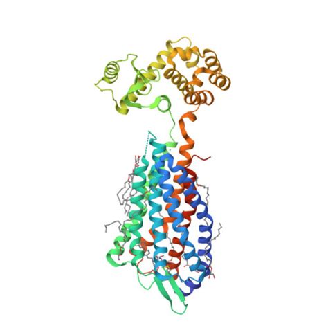 Par Proteinase Activated Receptors Iuphar Bps Guide To Pharmacology