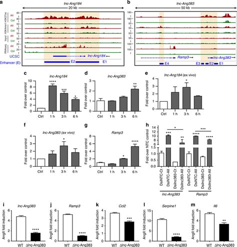 LncRNAs Overlapping Enhancers Regulate VSMC Gene Expression A B