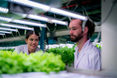 Bioeconomía Qué es y por qué es tan importante