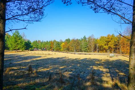 Kampinoski Park Narodowy Atrakcje Informacje I Ciekawostki