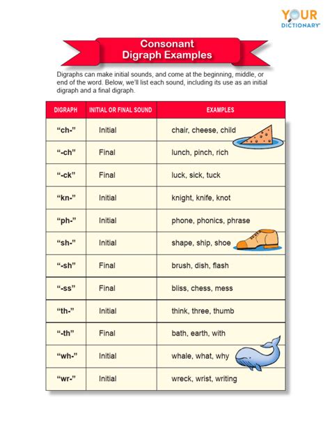 Digraph Examples 2 | PDF