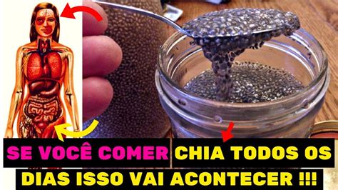 ⭐️ Comer Chia Todos Os Dias Faz Isso Com O Seu Corpo Os Benefícios Da Chia Youtube