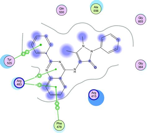 Interactions Of Compound 9 With The Kelch Domain Amino Acids Of Keap1