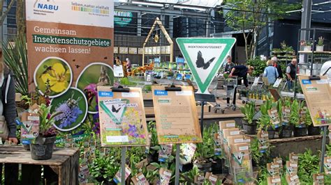 Kreis Kleve Wilde Pflanzen Bringen St Dten Insektenfreude