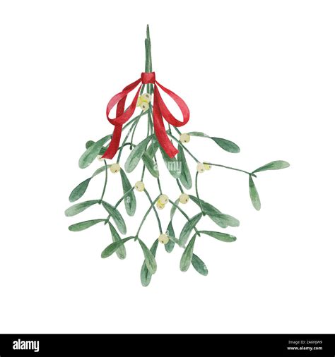 Hanging Mistletoe