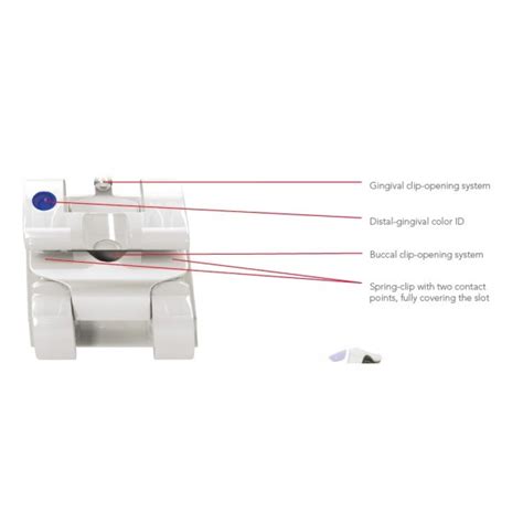 Experience Self Ligating Ceramic Roth Type X Maxillary