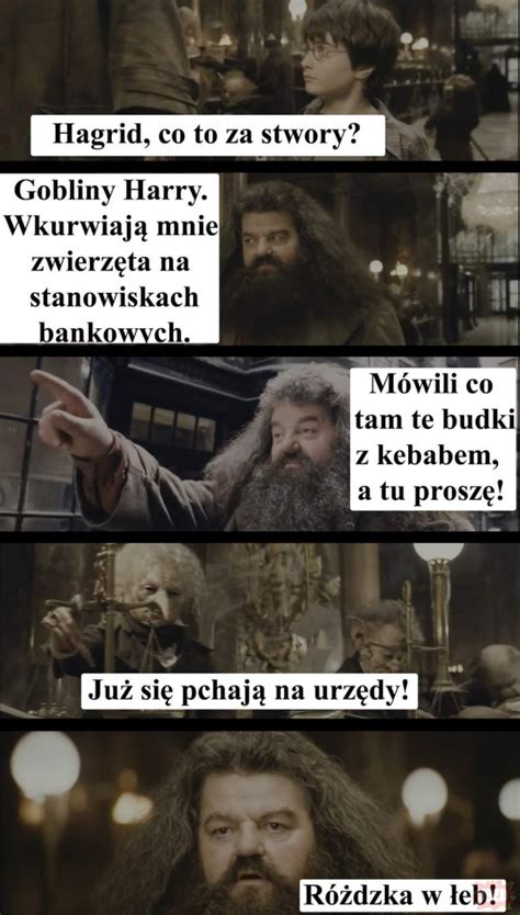 Rubeus Hagrid Kandydat W Wyborach Na Dyrektora Hogwartu