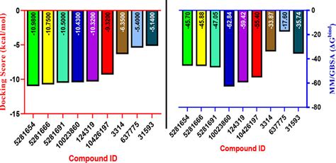 Graphical Representation Of The Molecular Docking Score And