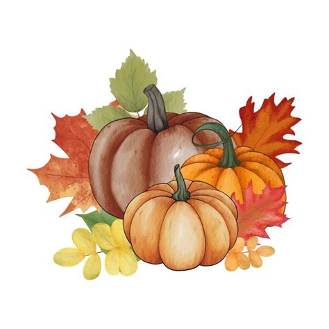 Premium Vector Watercolor Pumpkin Composition Leaves Pumpkin Clip