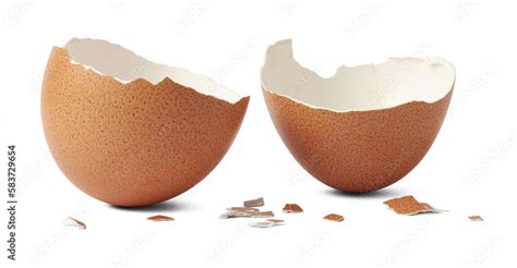 brown egg shell broken or crack with pieces scattered on the surface ...