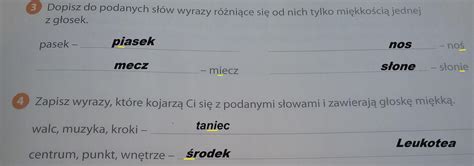 Dopisz do podanych słów wyrazy różniące się od nich tylko miękkością