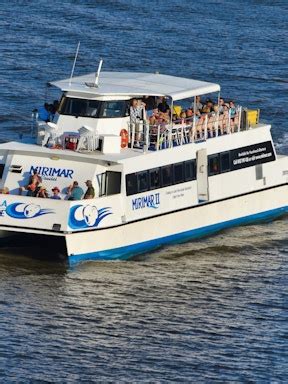 Book Lone Pine Koala Sanctuary Tickets 2023 | Brisbane River Cruise