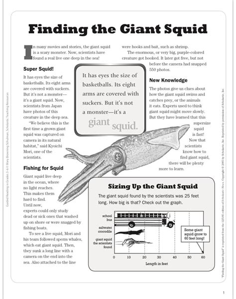 Finding The Giant Squid Text Passage Printable Texts