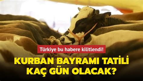 Kurban Bayram Tatili Ka G N Olacak Bayram Tatili Ne Zaman