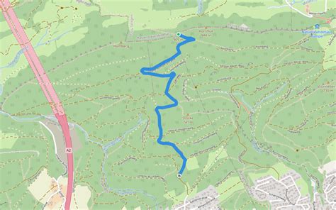 Steckenberg Homberg Gap Walking And Running Trail Rickenbach