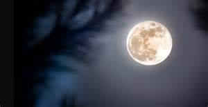 Biggest supermoon of 2025: November's beaver moon arrives this week ...